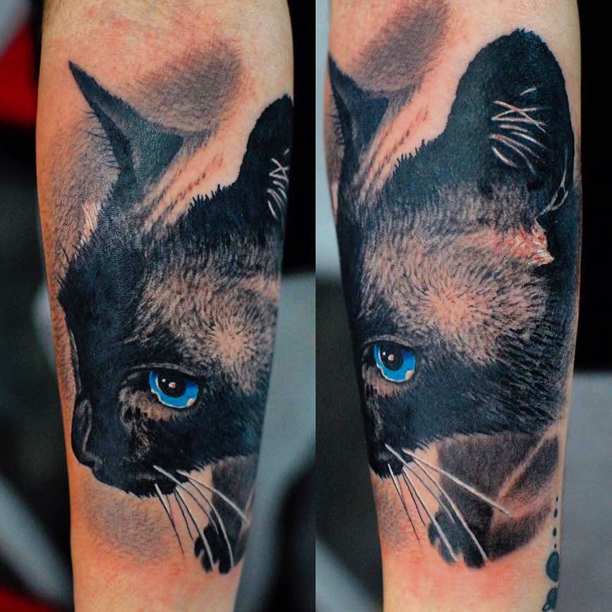 katze kater cat tattoo color farbe black schön amazing wahnsinn marci tattoo anansi münchen schön beste bestes bester
