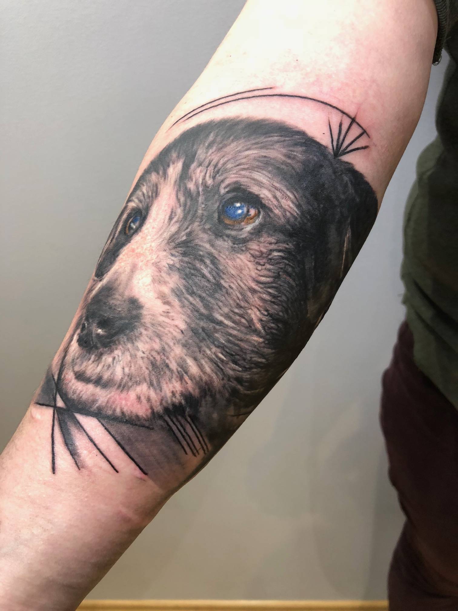 tattoo studio anansi münchen munich dog hund portrait schwarz black laszlo tätowierer best