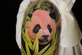 tattoo anansi münchen munich joe török tiere panda bär bear tier animal color realismus tätowierer artist art
