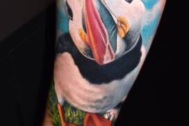 Tattoo Anansi München Artist Brigi realism portrait color animal seabird