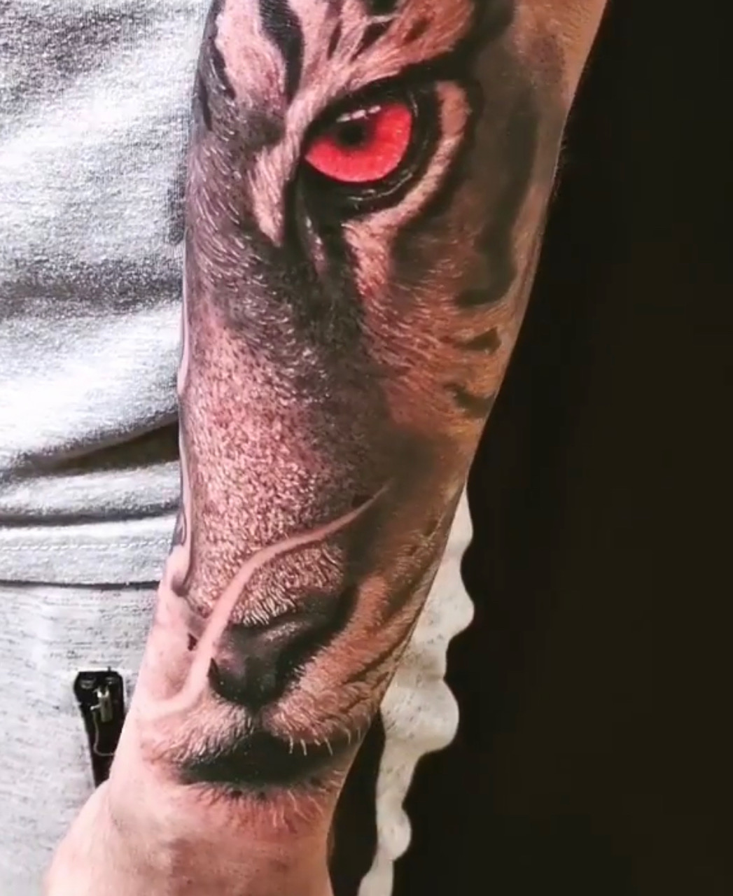 tiger in farbe tattoo tätowierung realistisch wahnsinn ritchey tattoo anansi münchen munich best bestes bester artist n