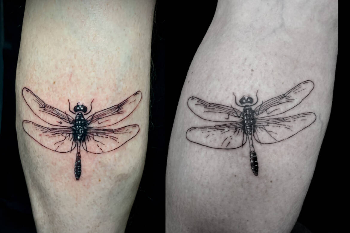 Tattoo-Anansi-Studio-Munchen-Munich-Haidhausen-dragonflies-matching-partner-tattoos-nature-wildlife-anatomical-insect-best-blackwork-realism.jpg