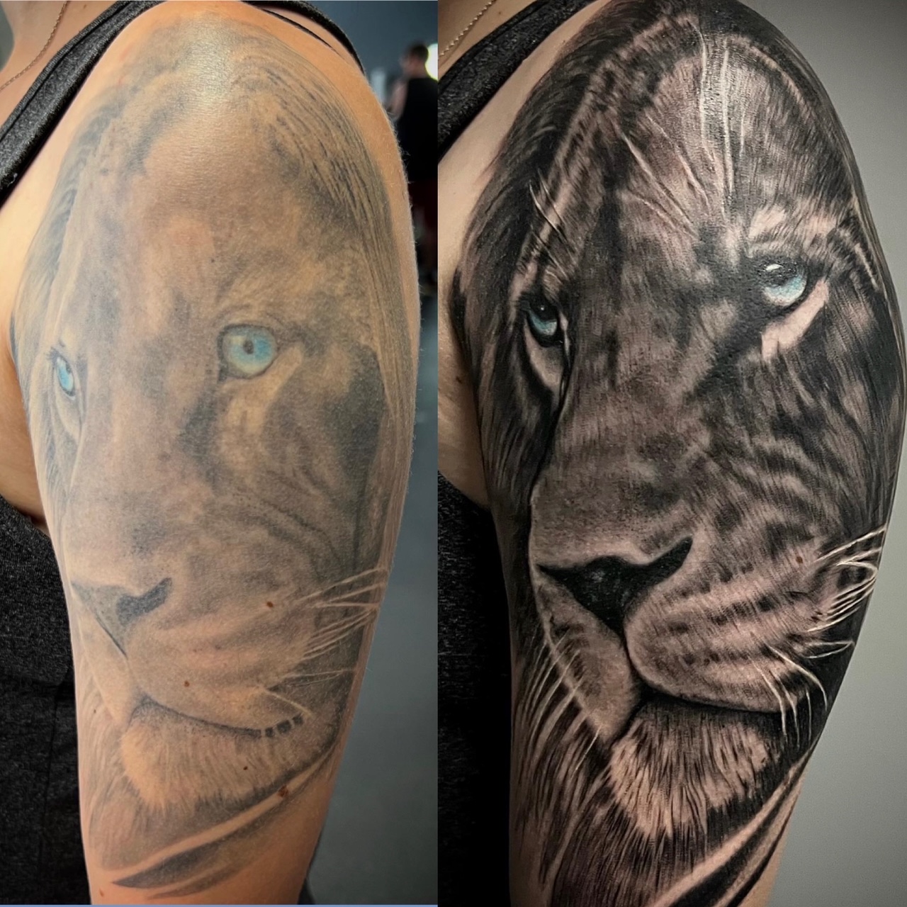 Lion Tattoo CoverUp