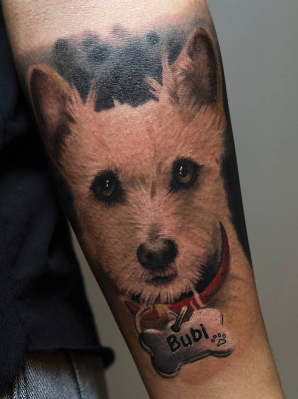 Tattoo Anansi Studio München Munich Haidhausen Pete cute dog pet meomries best colour realistic animal portrait