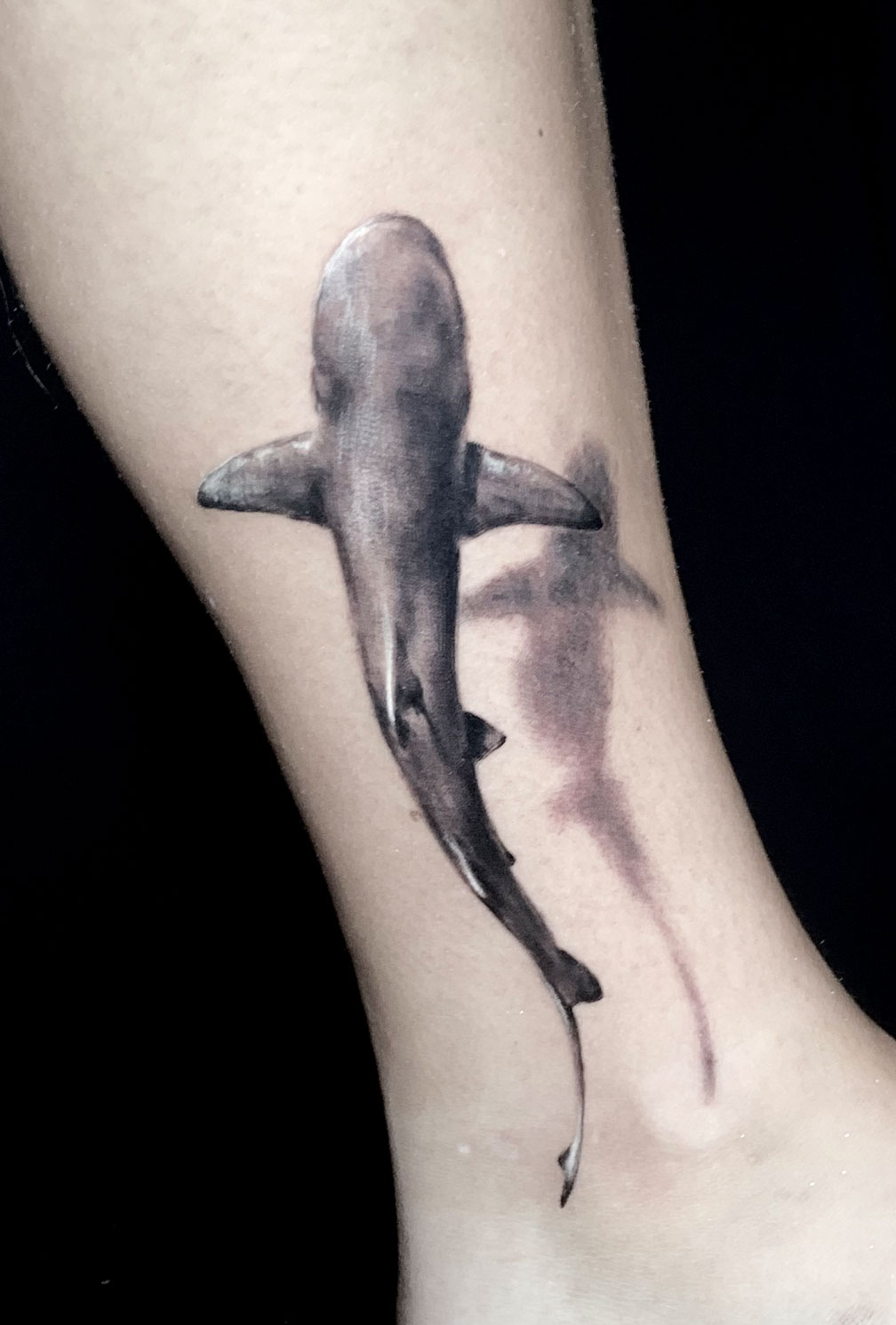 Tattoo Anansi Studio München Munich Haidhausen Tim small shark shadow 3d traveltattoo best black and grey realistic
