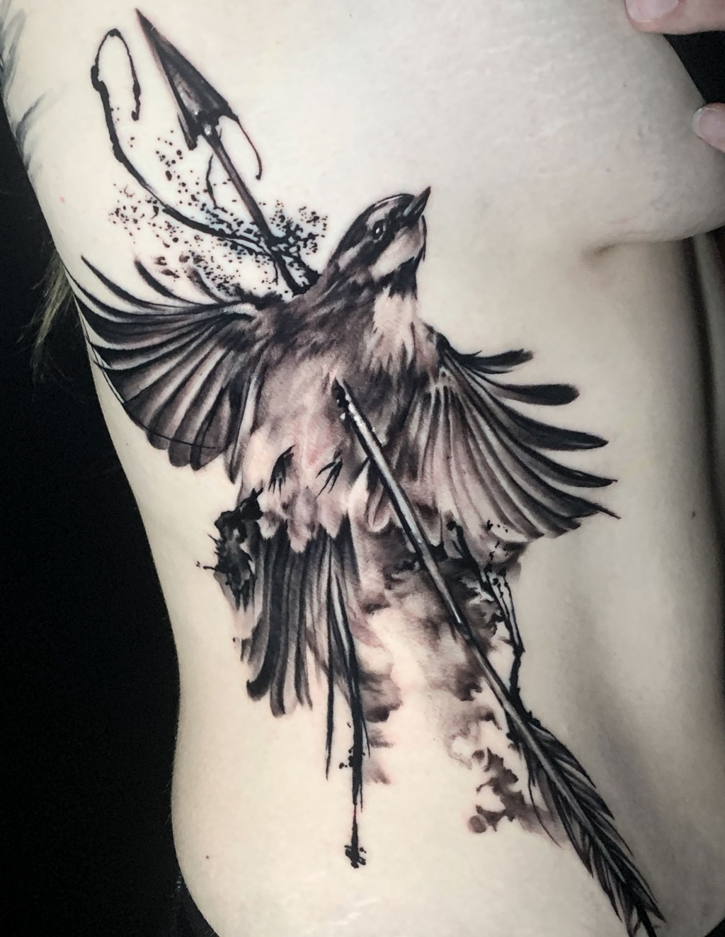 Tattoo Anansi Studio München Munich Haidhausen Tim side ribs bird arrow best black and grey realistic animal sketchy abstract